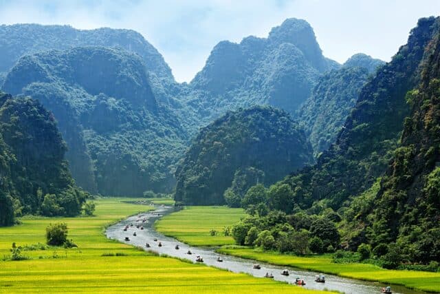 rice field and river, ninhbinh, vietnam c